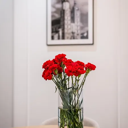 Appartement Grodzka 27 *